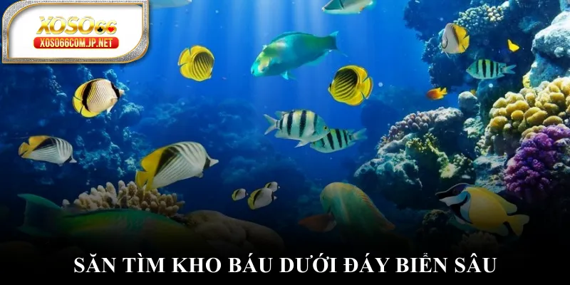Săn tìm kho báu dưới đáy biển sâu
